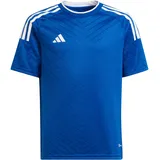 Adidas Campeon 23 Trikot Kinder - team royal blue