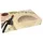 Papstar 5 Transport- und Catering-Kartons 8 cm x 46 cm x 31 cm "Orchidee" mit Sichtfenster,