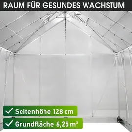 Brast Gewächshaus Aluminium Silber 6 mm 6,25 m2