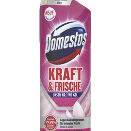 Domestos KRAFT & FRISCHE GEL WC-Reiniger FLORAL FRESH, 0,75 l