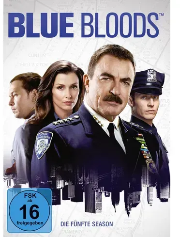 Preisvergleich Produktbild Blue Bloods - Staffel 5  [6 DVDs]