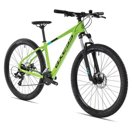 Axess Sandee 29 Zoll RH 53,3 cm Unisex grün