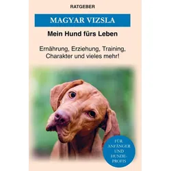 Magyar Vizsla