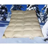 Premium 6cm Winter Hochsteg Kassetten Daunendecke 4x6 155x220 cm 100% Daunen - Weiß