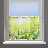 Delindo Lifestyle Margeriten Stangendurchzug 85 x 45 cm grün