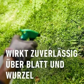 Compo Rasenunkraut-Vernichter Perfekt Konzentrat 200 ml