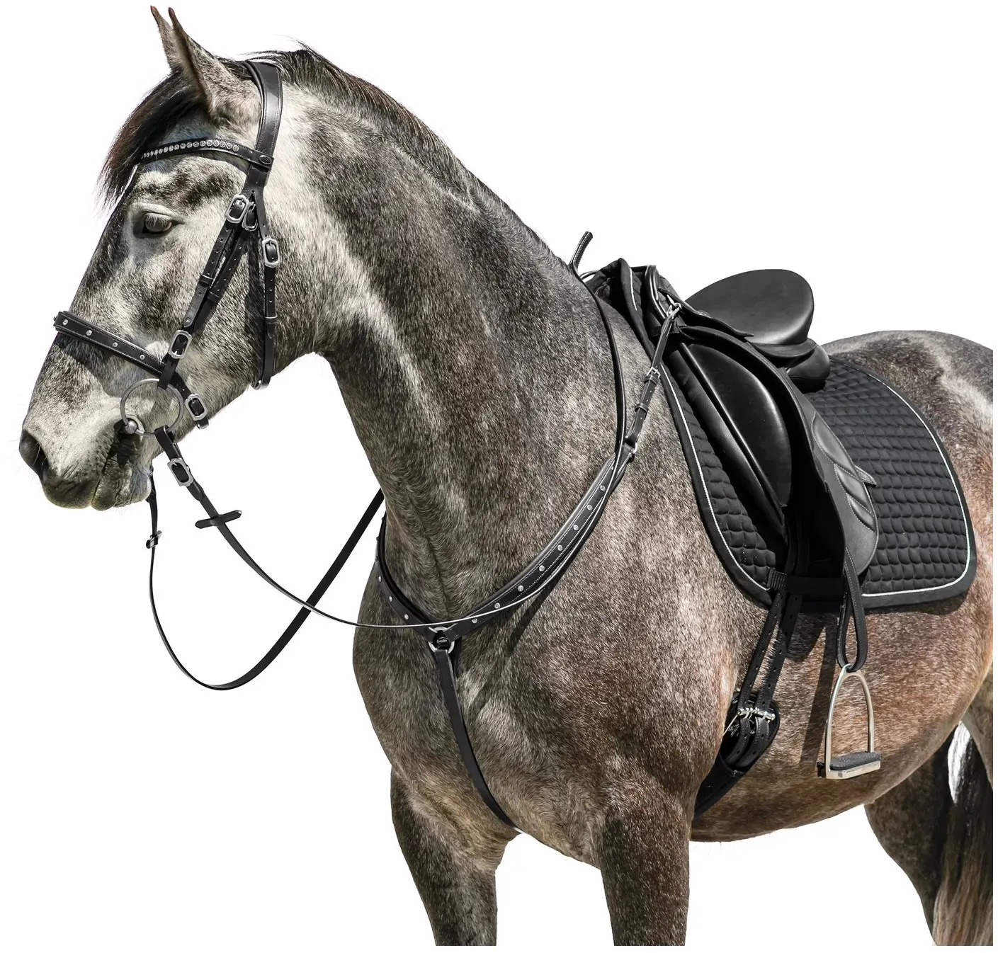 Loesdau Vorderzeug Saumur schwarz Pony