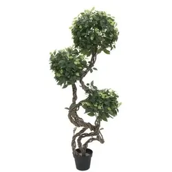 EUROPALMS Ficus Multi Spiralstamm, Kunstpflanze, 160cm
