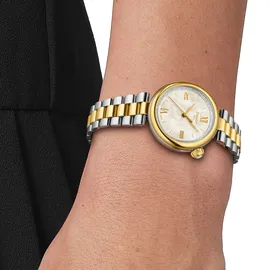 TISSOT Desir Quarz Bicolor 28 mm T152.010.22.118.01