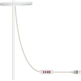 Led-pflanzenleuchte Mit 5 Dimmbaren Modi Und Usb-timer Für Sukkulenten Und Topfpflanzen