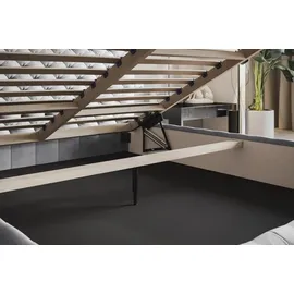 alpimeble Polsterbett 160 x 200 cm Grau