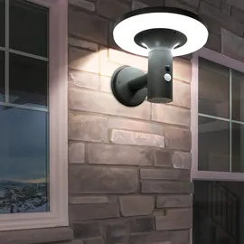 Expo Börse Wandlampe mit Bewegungsmelder LED Solarleuchte Haustürlampe Fassadenleuchte anthrazit Gartenlampe, 250lm, kaltweiß, BxH 24x21 cm, 2er Set