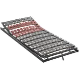 Novel Tellerlattenrost Topform Flex KF, Holz, Buche, Schichtholz, 3-Zonen, 80x200 cm, Über- und Sondergrößen erhältlich, Federholzleisten verleimt, Tellerauflagen, verstellbar, Schlafzimmer, Lattenroste