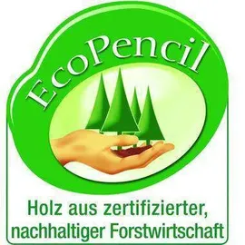 Faber-Castell Bleistift 9000 2B 12 St. Grün