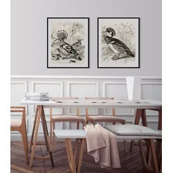 queence Bild »Ferdinand«, Vögel-Vogelbilder-historische Ereignisse-Kunst, (1 St.), HD Premium Poster-Druck inkl. Holzrahmen queence Farbe Rahmen: schwarz + Farbe Bild(er): grau