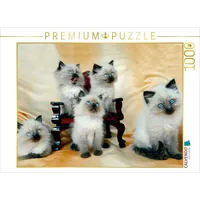 Calvendo Ragdoll Kätzchen Puzzle