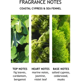 Molton Brown Coastal Cypress & Sea Fennel Hand Lotion 300 ml