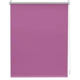 Lichtblick Thermo-Rollo Klemmfix 100 x 150 cm fuchsia