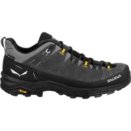 Salewa Alp Trainer 2 GTX Herren Onyx/Black 48,5