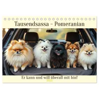 Calvendo Tausendsassa - Pomeranian (Tischkalender 2026 DIN A5 quer),