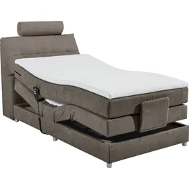 ed exciting design Palermo 120 x 234 cm Braun