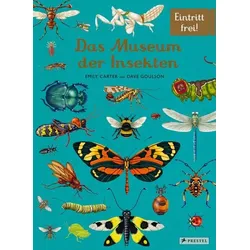 Das Museum der Insekten