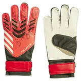 adidas Predator Pro Torwarthandschuhe - Lucid Red / Black / Pure Ruby - 5 1/2