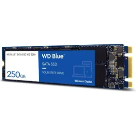 Western Digital Blue 3D NAND 250 GB WDS250G2B0B