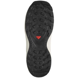 Salomon Xa Pro V8 Junior Hiking Shoes Grau EU 37