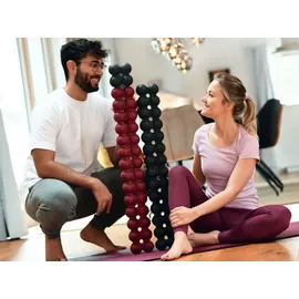 Sissel Spinefitter by Sissel Rückentrainer "Extention Kit