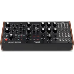 Moog Labyrinth - Synthesizer