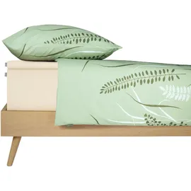 SCHIESSER Spannbettlaken Baumwolle-Elasthan 180 x 200 cm Creme
