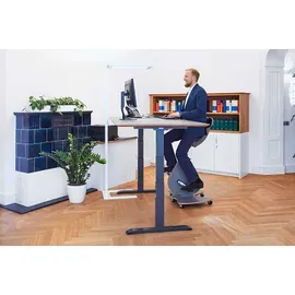 fitseat Schreibtischfahrrad Professional grün