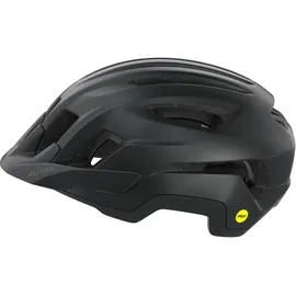 Alpina Paranus MIPS 55-59 cm schwarz-midnight grey matt 2025
