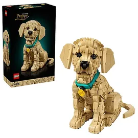 LEGO ICONS Golden Retriever Welpe 11384