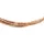 Fossil Armband Damen roségold JF04472791 Größe 21,6 cm