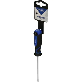 BRILLIANT TOOLS Schraubendreher TORX T10