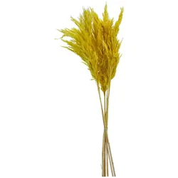 Trockenblume PAMPASGRAS gelb
