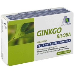 Ginkgo 100 mg Kapseln+B1+C+E 48 St