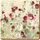 Creative Tops Wild Field Poppies Premium-Untersetzer mit Korkrückseite im 6er-Set, 10,5 x 10,5 cm (4 x 4 Zoll)