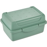 keeeper Frischhaltedose mit Klickverschluss, 11 x 7,5 x 6 cm, 350 ml, Luca Micro, Nordic Green