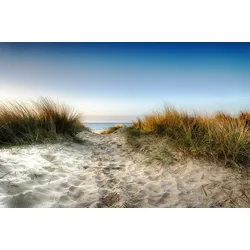 Fototapete PAPERMOON "Strand", bunt, B:3,00m L:2,23m, Vlies, Tapeten