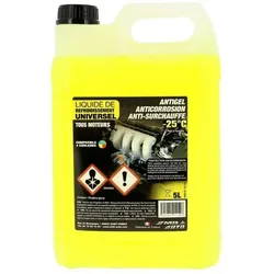 SMB AUTO Frostschutz 356