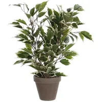 Mica decorations Mica Kunstpflanze Ficus Natasja grün bunt im Topf 40 cm,