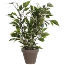 Mica decorations Mica Kunstpflanze Ficus Natasja grün bunt im Topf 40 cm,