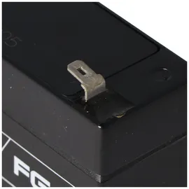 Fiam FG10301 Blei Akku 3,0Ah 1 St.