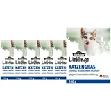 Dehner Lieblinge Saatgut Katzengras, 6 Stück (600 g)