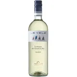 terre cortesi Le Vele Verdicchio dei Castelli di Jesi Classico DOC 2023 Moncaro
