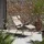 Lafuma Mobilier Gartensessel Futura XL Mischgewebe Braun Mocca