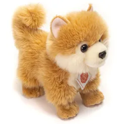 Teddy-Hermann - Zwergspitz, 22 cm